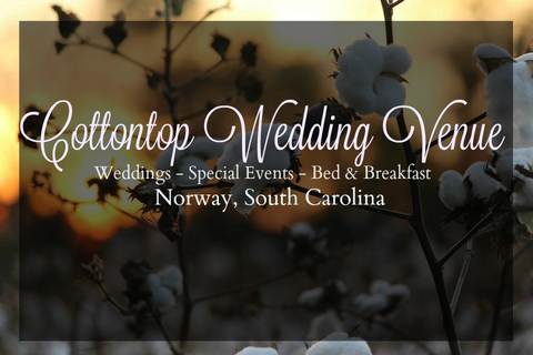 Cottontop Wedding Venue 