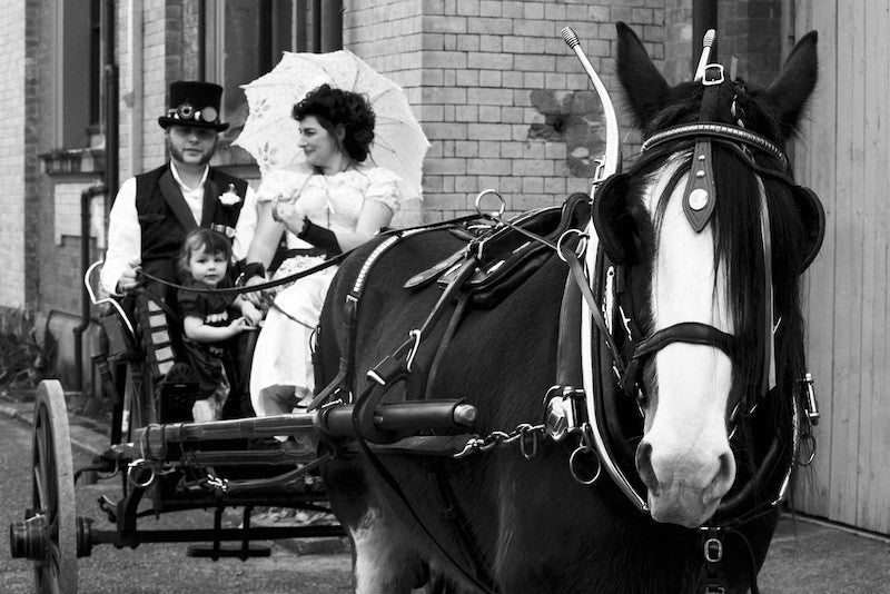 beautiful clydesdale horse and carriage for a steampunk wedding from Clydesdale Services