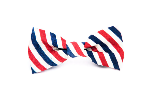 red white and blue bow tie dog collar