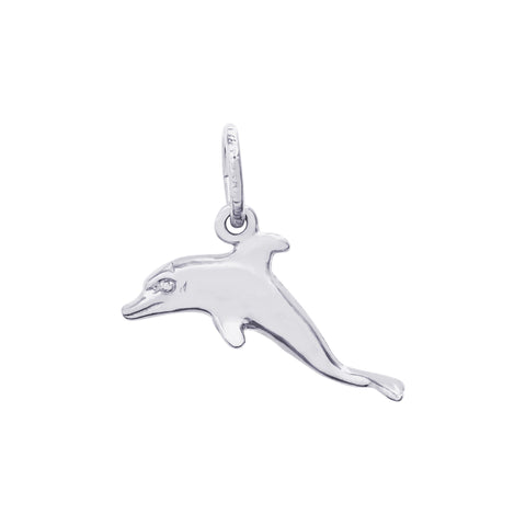 Dolphin Charm