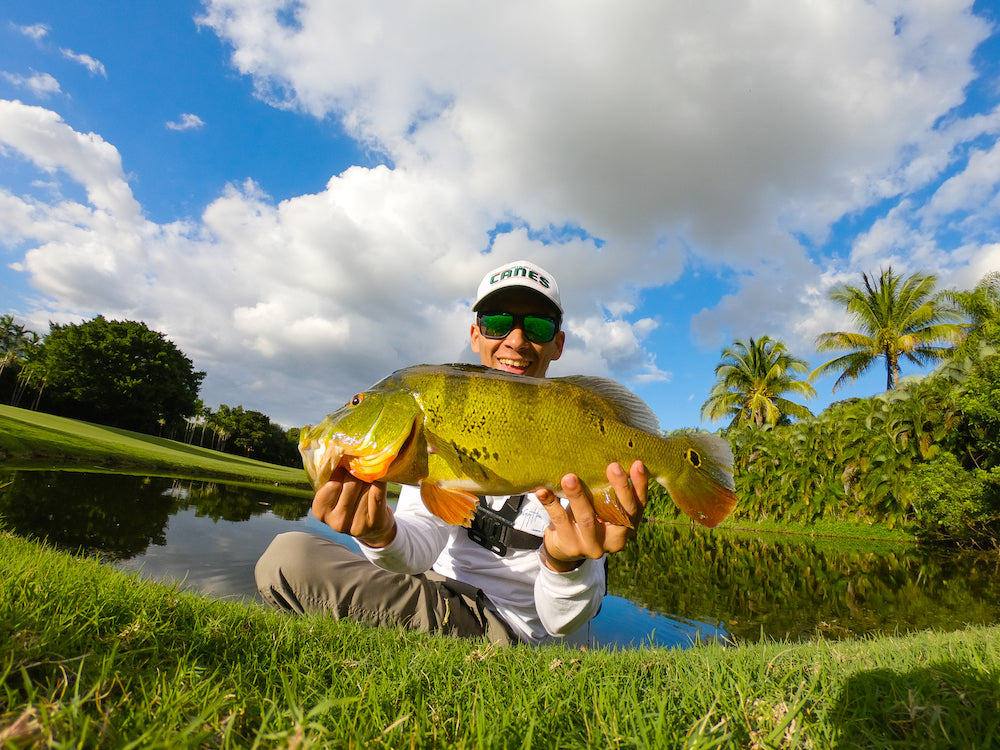 Peacock Bass Tips And Tricks