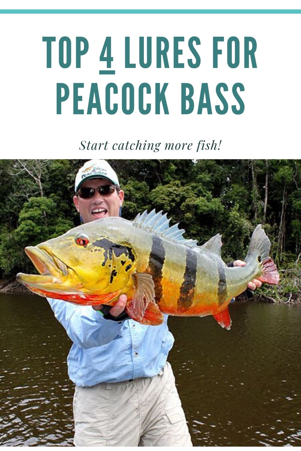 top 4 lures for peacock bass