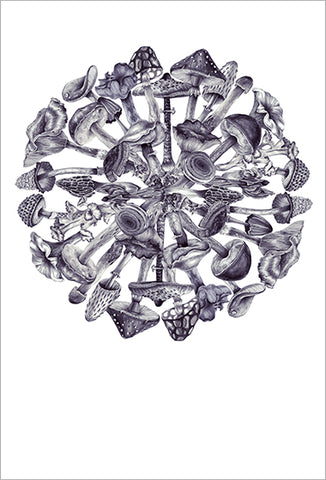 Karina Eibatova Drawing Mushrooms