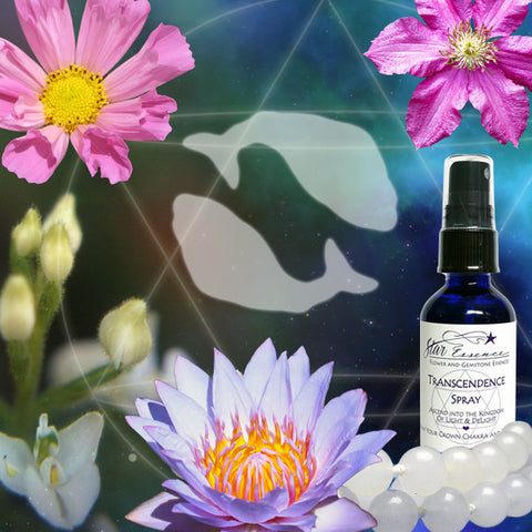 Astrology and Flower Essences - Pisces