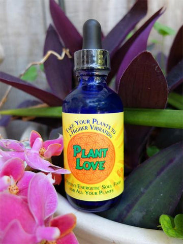 Plant love