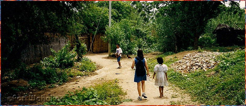 Village path crossing Oaxaca Mexico