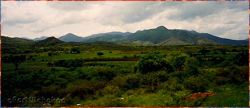 Sierra Madre de Oaxaca