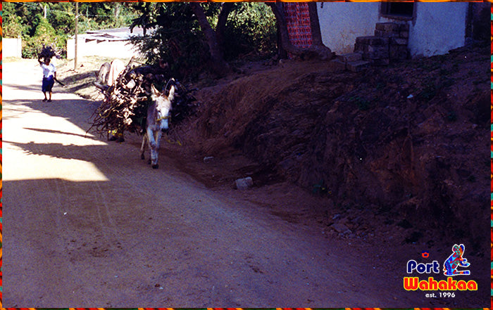 Burro Carrying Copal Wood To Village