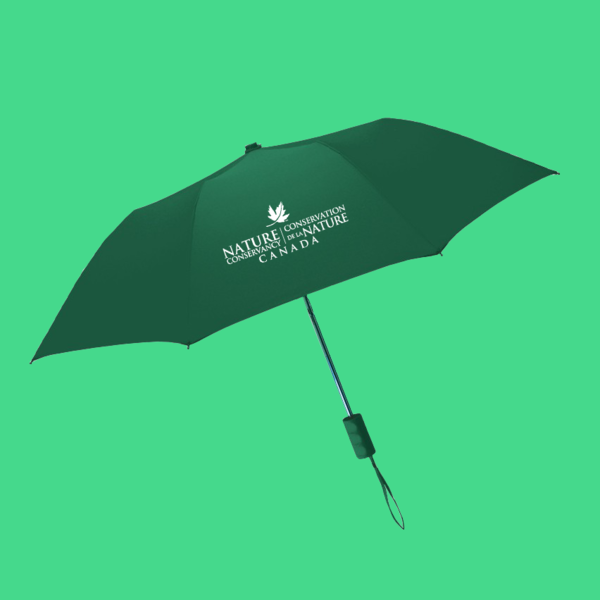 non folding umbrella