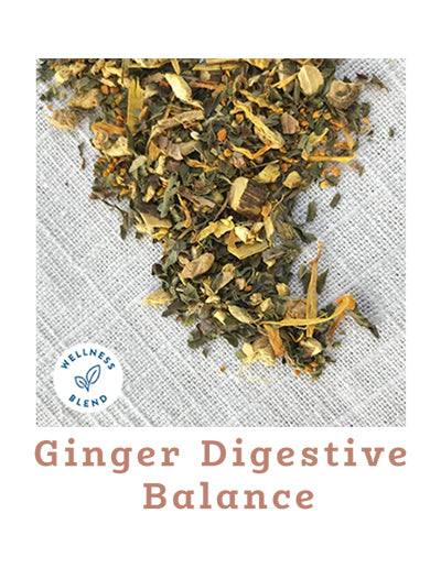 Ginger Digestive Balance Tea | Stash Tea