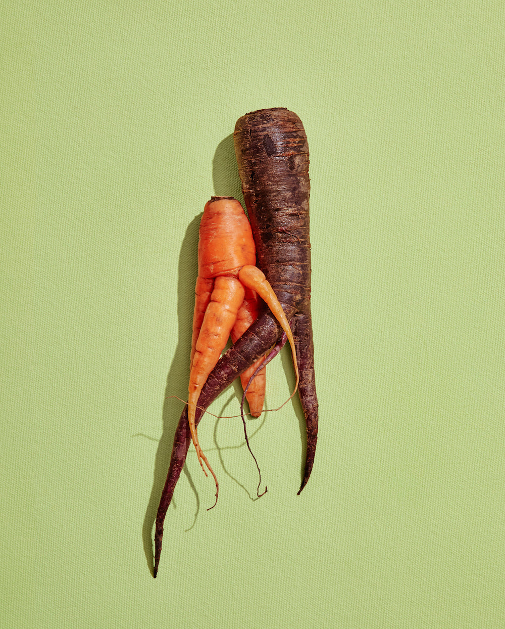 misfits market carrots sustainable packaging