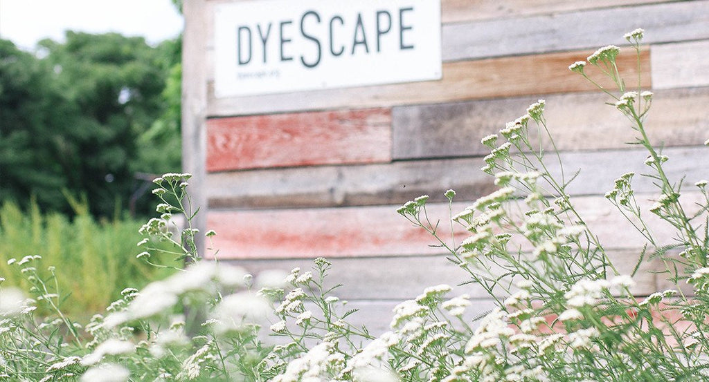 Dyeing To Make a Difference: Support Anchal's First Kentucky-Made Collection