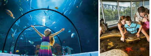 Aquarium de Québec fête d'enfants
