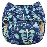 Blueberry One Size Simplex All in One- Organic with Stay Dry