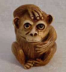 Fragile World - Worried Monkey