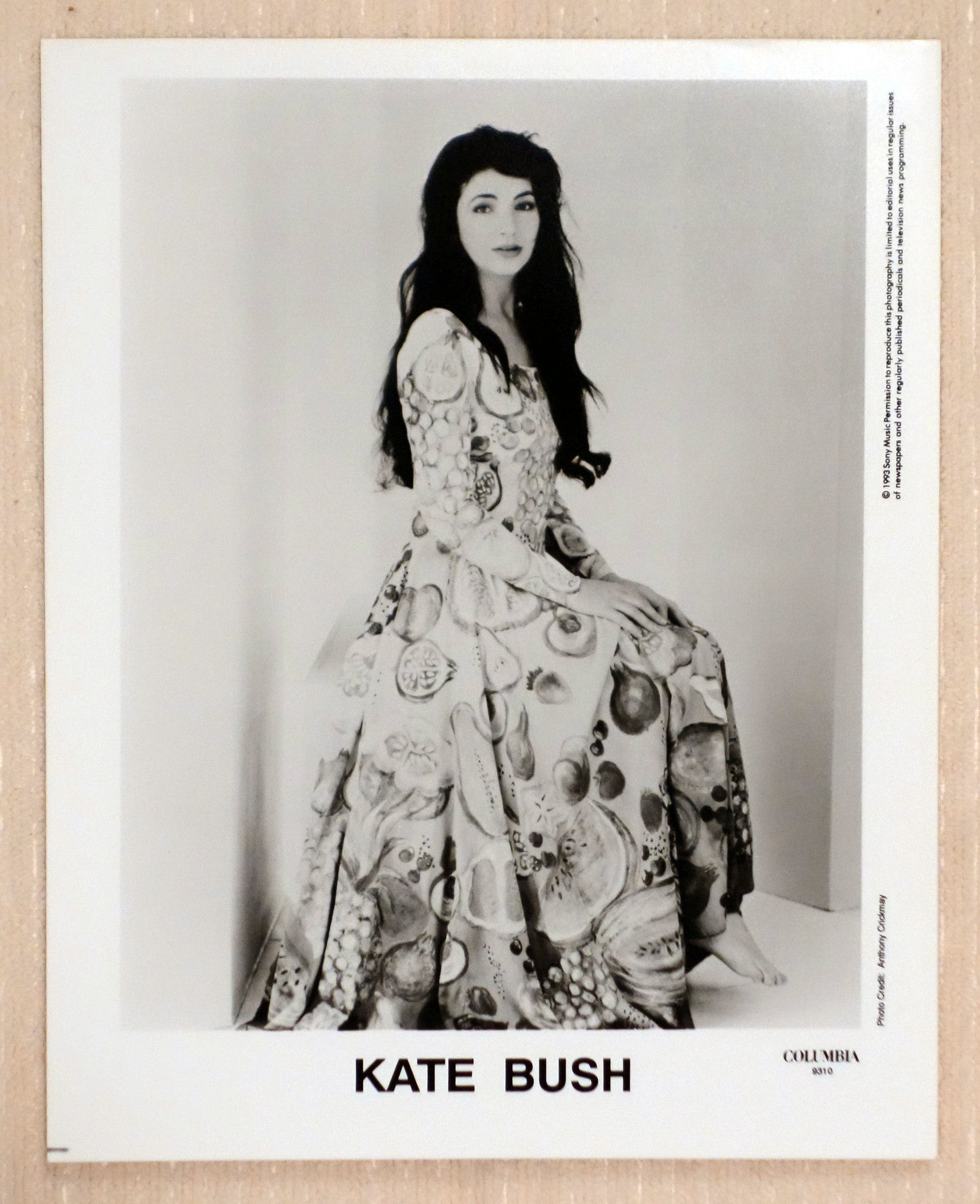 Kate Bush Columbia Records Promotional Photo Voluptuous Vinyl Records 