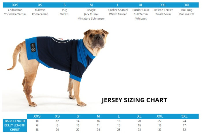 montreal canadiens dog jersey