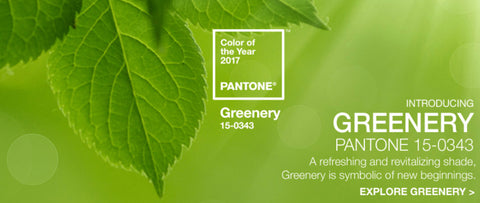 Pantone Color of the Year 2017