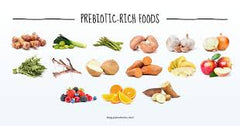 prebiotic rich foods
