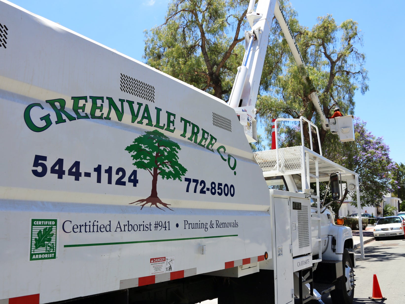 greenvale tree company san luis obispo