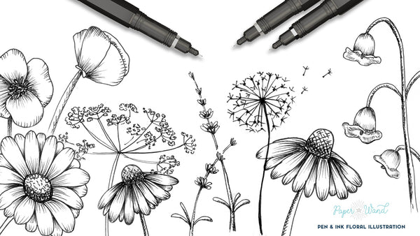 How to Draw Wildflowers - Floral Ink Illustration