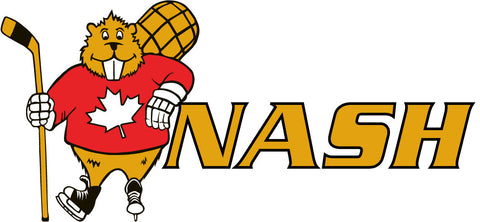 nash-sports-hockey