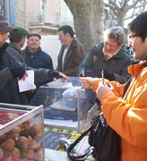 French truffle markets