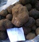 French truffles