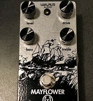 Silver Sparkle Mayflower