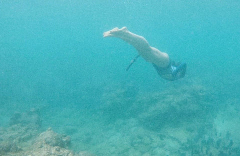 Folkstone Snorkeling Barbados