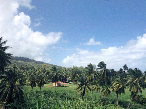 Inland Barbados