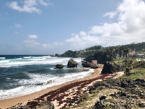 Soup Bowl Surf Spot, Barbados