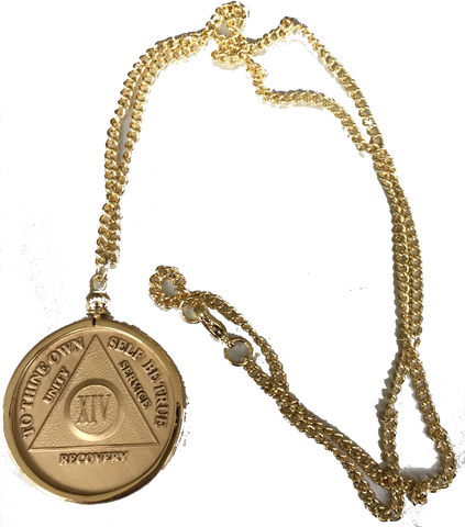 AA Medallion Holder Necklace