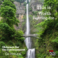 image of a rainforest with a waterfall