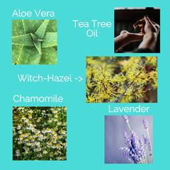 natural skin care ingredients. Lavender, Witch-hazel, aloe vera, tea tree oil & chamomile