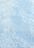 EMBROIDERY LACE DEEP V-NECK TRANSLUCENT LONG DRESS