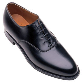 plain toe shoe