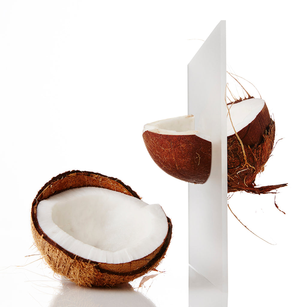Coconut Still Life | HydroSkinCare