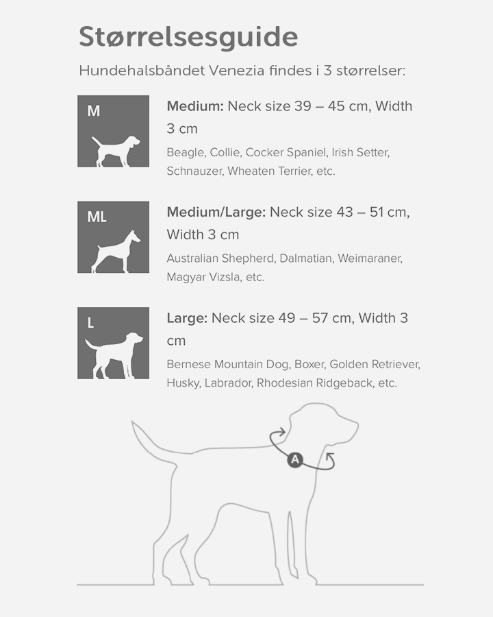 Størrelsesguide til halsbånd til hunde