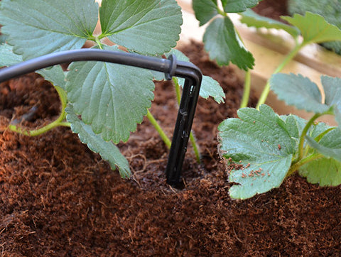 Drip Irrigation Kit