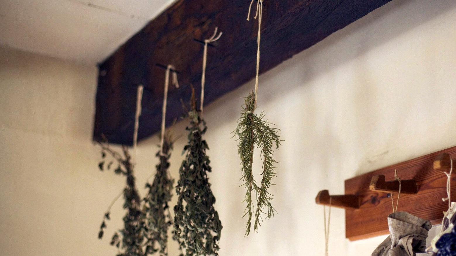 hanging herbs from the wall
