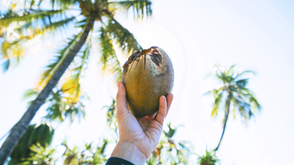 using coconut oil