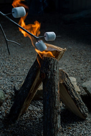 marshmallow stick for dad - ski country