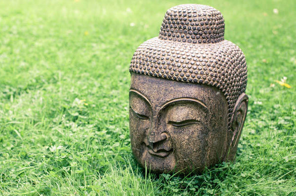 Stone buddha head on green grass