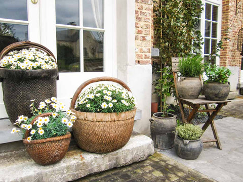 outside terrace planters pots, baskets flowers