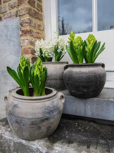 Spring flowers in Chinese water pots