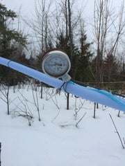 Vacuum gauge on our maple sap lines