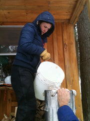 Corrie pouring maple sap out of a bucket