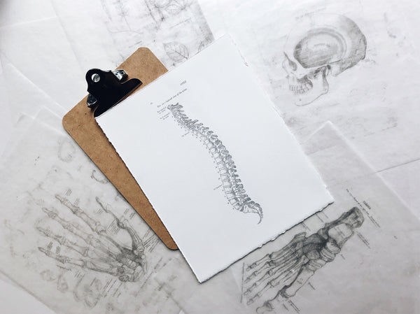 How to find the right Chiropractor for your injuries or for enhancing your performance - An informed Decision