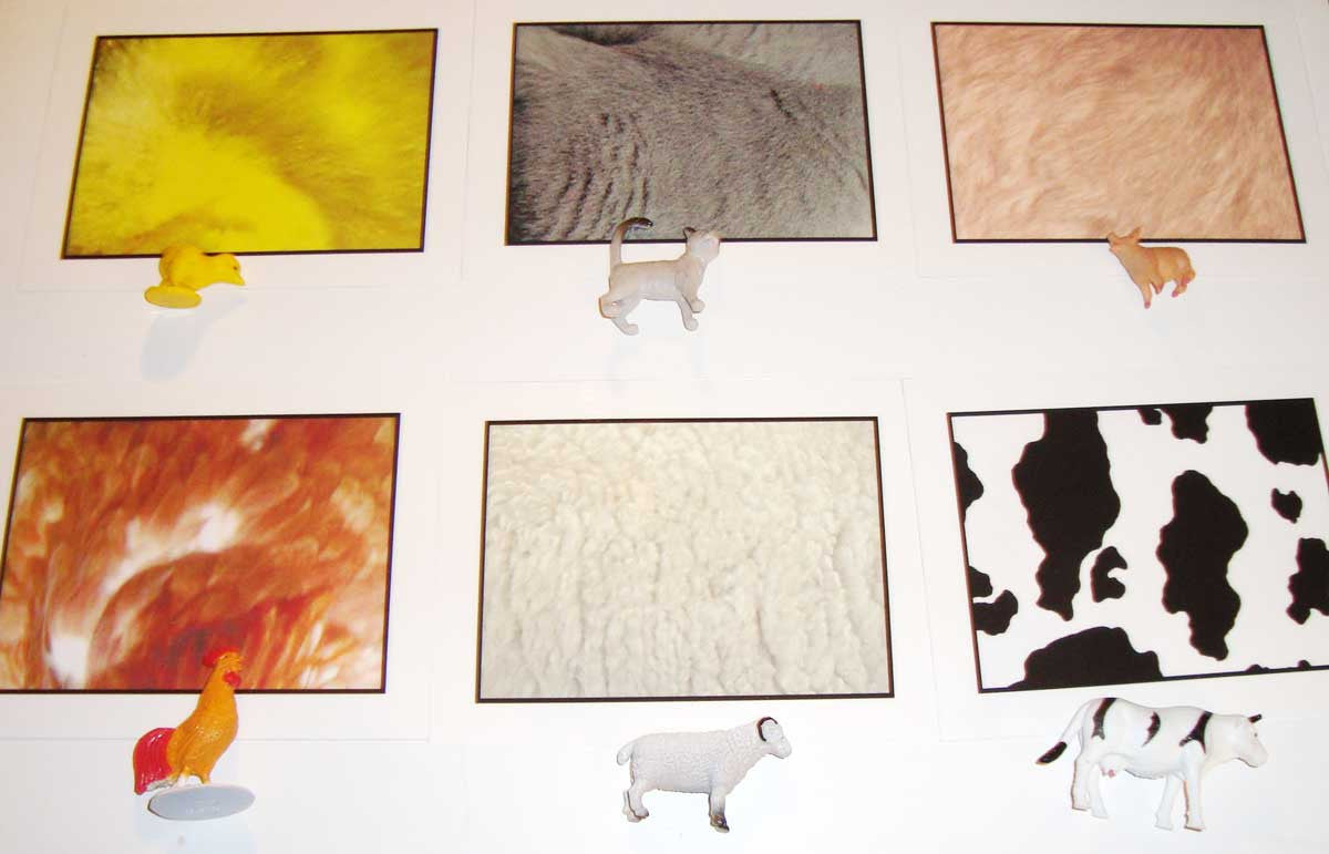 animals skins montessori materials